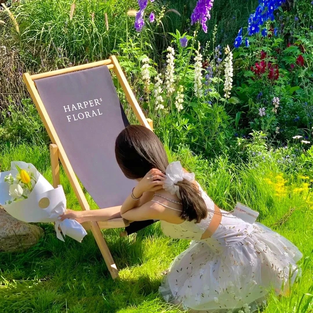 哦，我的宠妃大人2019